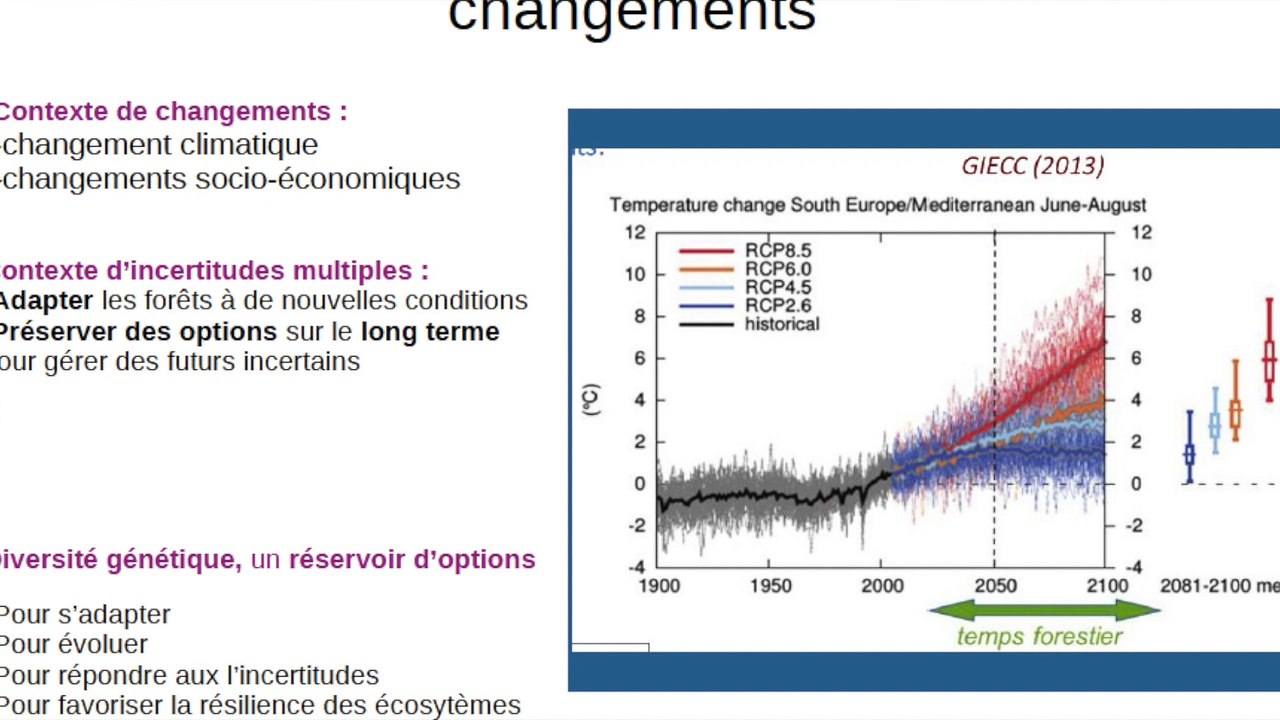 Forum forêt du Vercors et changement climatique - Expérimentations sylvicoles INRAE avec Caroline Scotti-Saintagne