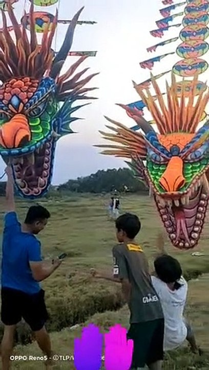 dragon kite
