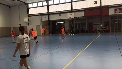 Journée dédiée au handball féminin à Brienne-le-Château