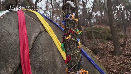 소원을 들어주는 바위?! 소를 달라고 빌었더니 주인 없는 소가 직접 찾아왔다?!