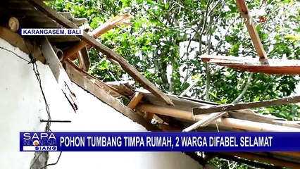 Pohon Kelapa Sepanjang 20 Meter Menimpa Rumah Pak Made, 2 Anaknya Penyandang Difabel Selamat