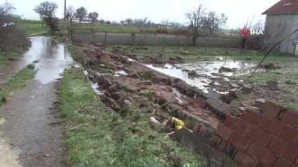 Sel duvarları yıktı, hayvanlar telef oldu