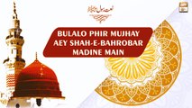 Bulalo Phir Mujhe Aye Shah-e-Bahrobar, Madine Main - A Beautiful Naat-e-Rasool SAW - ARY Qtv