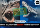 Sharks Left with Savage Bite Marks Across Skin… But The Real Reason is SHOCKING