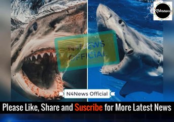 Sharks Left with Savage Bite Marks Across Skin… But The Real Reason is SHOCKING