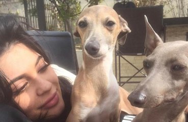 Baby number four is on the way ! these stars will have children in 2022