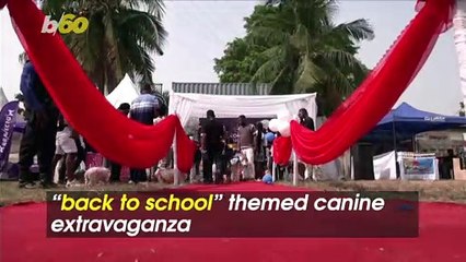 A ‘Back to School’ Themed Extravaganza for This Nigerian Dog Carnival