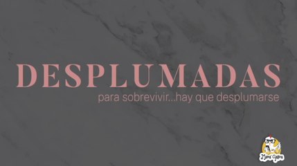 Desplumadas - El balance entre ser mamá y mujer
