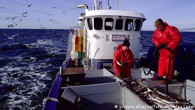 Baltic Sea small scale fishing winds down after EU quota cut