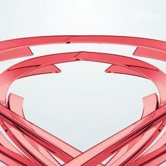 Cãozinho tenta se salvar de enxurrada durante temporal