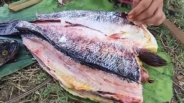 Primitive Survival skill cooking fish in forest Wilderness