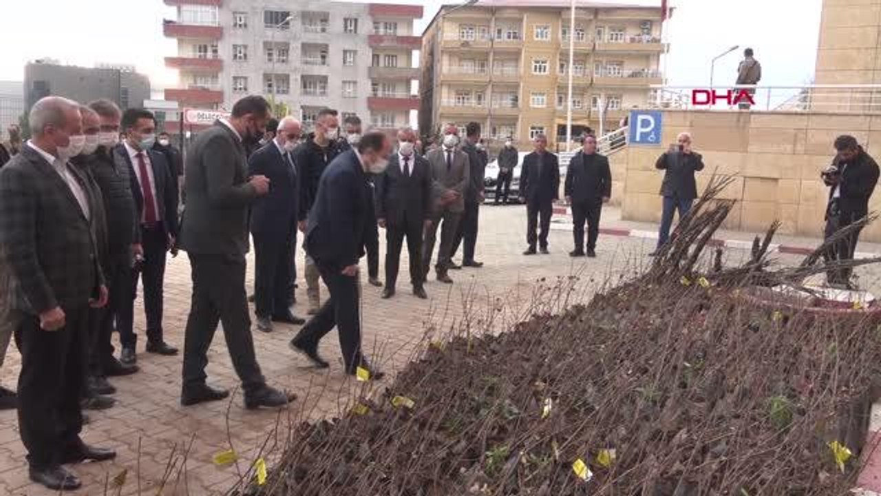 ŞIRNAK'TA ATIL ARAZİLER MEYVE FİDANLARIYLA BULUŞTURULDU