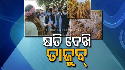 Cyclone Jawad – 131 Blocks Of 12 Districts Severely Hit In Odisha