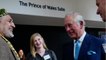 VOICI Prince Charles : son très ambitieux projet pour le jour où il sera roi