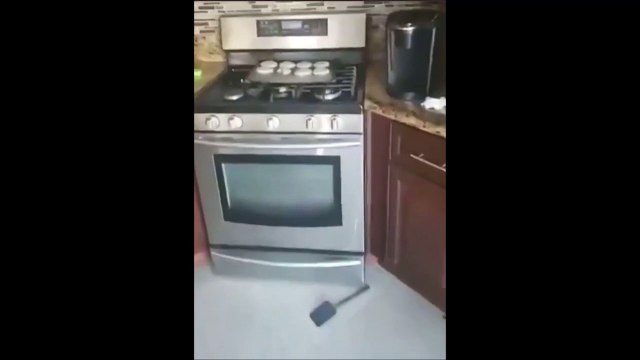 Mais qui a bien pu voler les cookies...