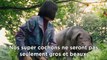 Okja _ Bande-annonce VOSTFR _ Netflix France