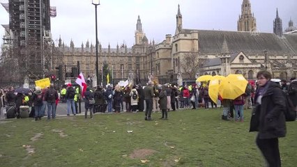 Download Video: Aşı karşıtları, aşı pasaportu uygulamasını protesto etti