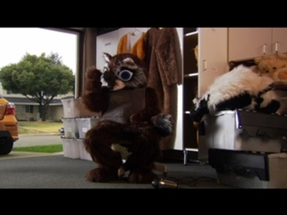 mascot grooming himself