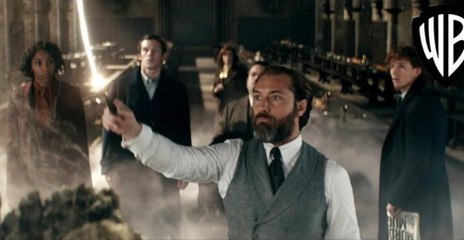 FANTASTYCZNE ZWIERZĘTA TAJEMNICE DUMBLEDORE'A  Film
