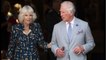 VOICI : Prince Charles : pourquoi Camilla Parker Bowles l'empêcherait de réconcilier ses fils William et Harry