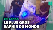 Voici le plus gros saphir au monde (selon le Sri Lanka)