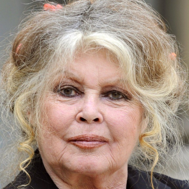 VOICI SOCIAL -Brigitte Bardot poste un inquiétant message pour son 86ème anniversaire (1)