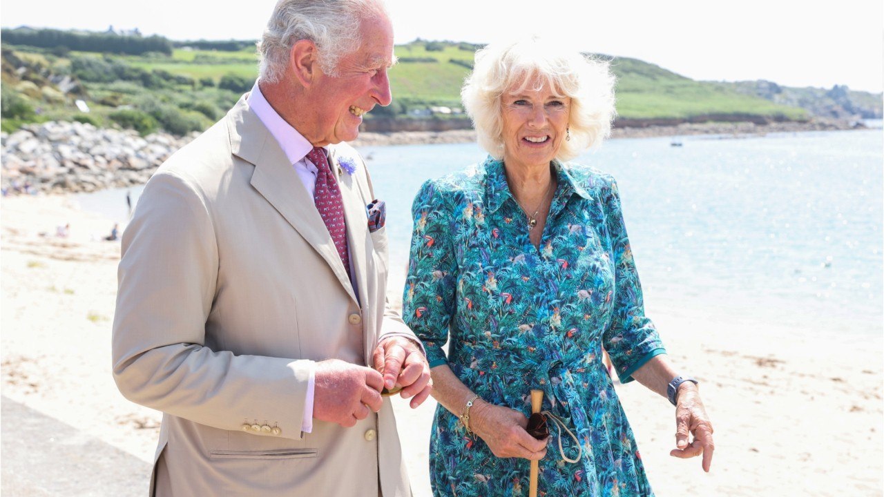 VOICI - Prince Charles et Camilla : accusé de mentir, leur supposé fils caché Simon Dorante-Day pousse un coup de gueule