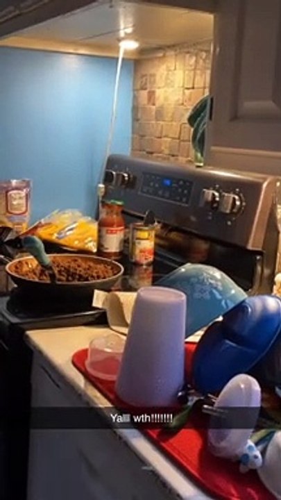 Mouse Gets Caught Stealing Food