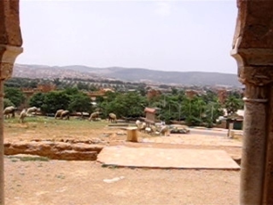 La Mansourah