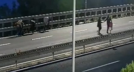 Bordighera (IM) - Migranti stipati sotto un camion, arrestato "passeur" (13.12.21)