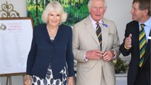 VOICI - Prince Charles et Camilla : leur supposé fils caché partage de nouvelles preuves validées par les internautes