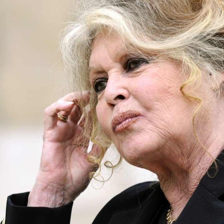 VOICI SOCIAL : Brigitte Bardot condamnée à une amende de 5000 euros pour injures
