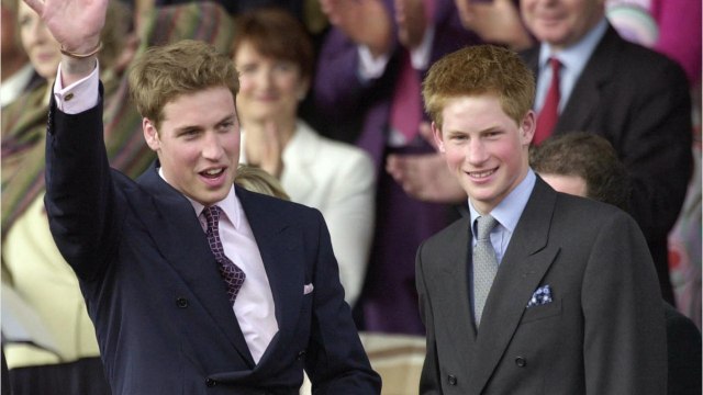 VOICI - « Elle aurait été très contrariée : Lady Diana aurait voulu qu'Harry soit le bras droit de William (1)