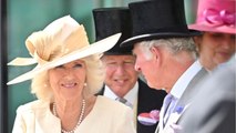 VOICI - Prince Charles et Camilla : leur supposé fils illégitime, Simon Dorante-Day, apporte de nouvelles preuves