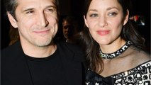 VOICI : Guillaume Canet et Marion Cotillard inquiets : ils lancent un appel à l'aide sur Instagram