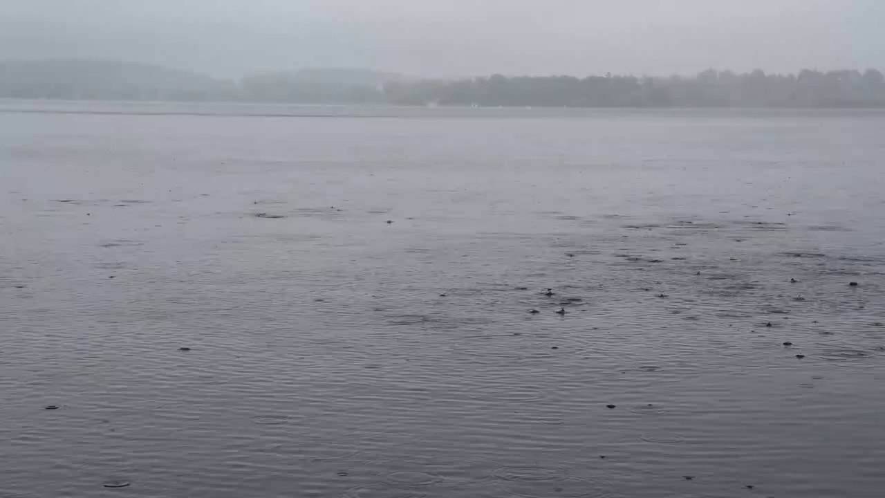 NATURAL SOOTHING MUSIC IN THE FIELD