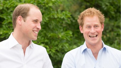 VOICI : William et Harry : ce signe qui montre qu'ils ne sont pas près de se réconcilier