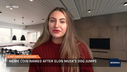 Elon’s Marvin Skyrockets