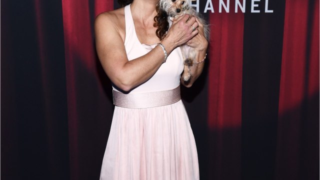 VOICI Jennifer Grey (Dirty Dancing) et Clark Gregg : « en larmes , ils divorcent après 19 ans de mariage