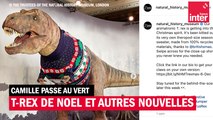 Un T-Rex de Noël et autres nouvelles