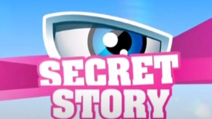 VOICI -Secret Story bientôt de retour sur TF1 ? La chaine dénonce un « fake "