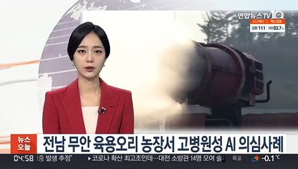 전남 무안 오리농장서 고병원성 AI 의심사례 발생