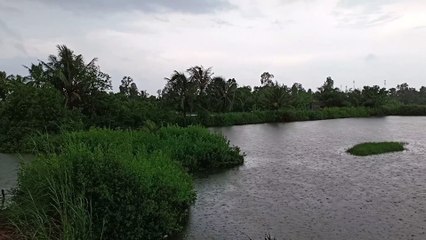 SUPERB LAKE SCENE WITH RAIN SOUND