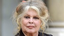 VOICI : Brigitte Bardot en colère : elle attaque dans un tweet assassin Marie-Sophie Lacarrau qui l'a 