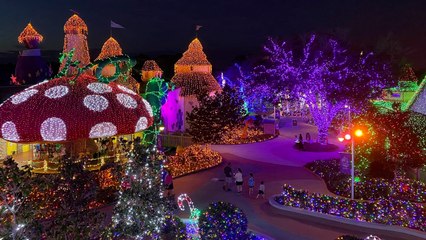 Night Of A Million Lights Event Raises Money For Sick Kids’ Dream Vacations