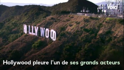 VOICI Mort de l’acteur Allan Rich (Serpico, Amistad, Quiz Show) à l’âge de 94 ans