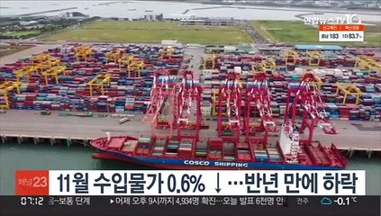 11월 수입물가 0.6% ↓…반년 만에 하락