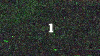 MATRIX_Drones y Mapping