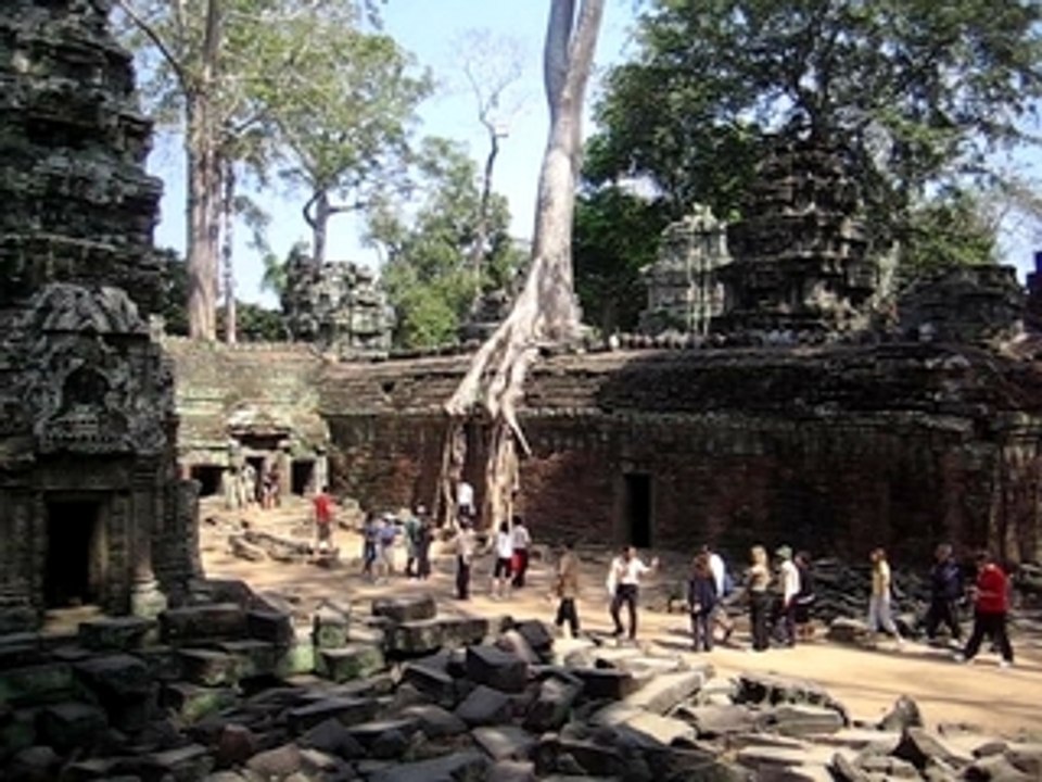 2008-01-02 SiemReap : Ta Prohm