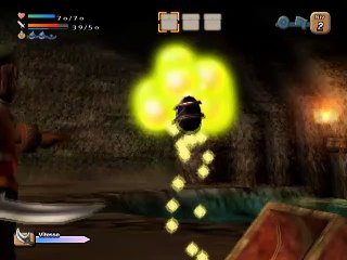 Dark Cloud online multiplayer - ps2